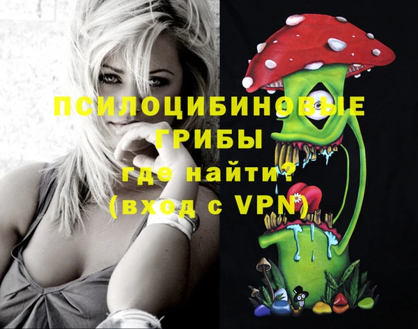 твердый Алексеевка