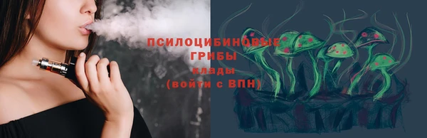 твердый Алексеевка