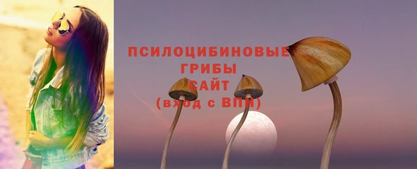 твердый Алексеевка